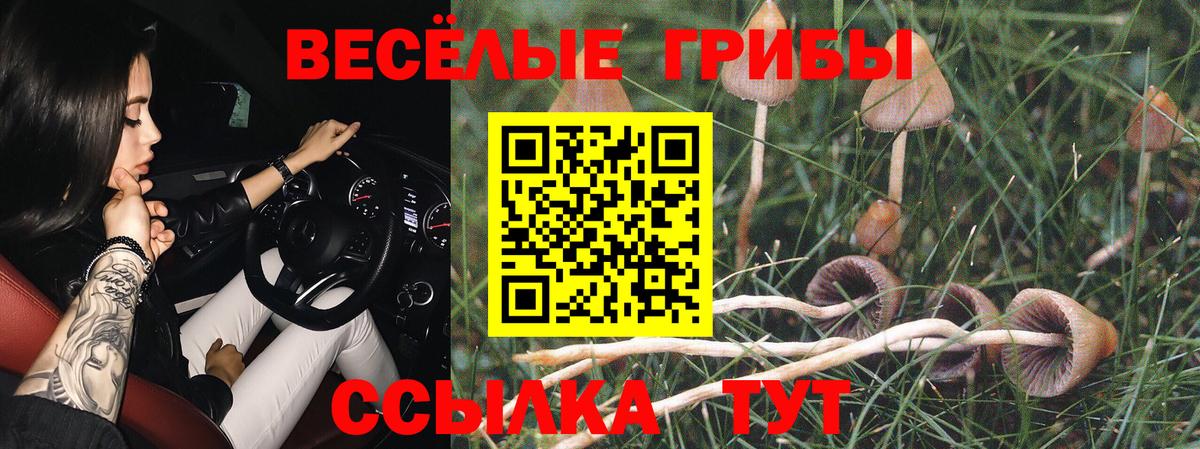 Ростов Великий  Галлюциногенные грибы мухоморы  Вход с VPN  Галлюциногенные грибы Psilocybine cubensis 