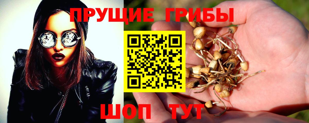 Галлюциногенные грибы ЛСД Ростов Великий